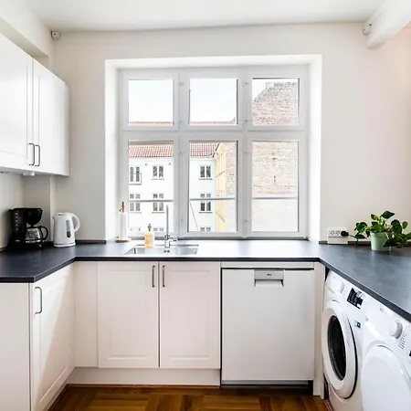 181m2 Newly Renovated - Center Kopenhaga
